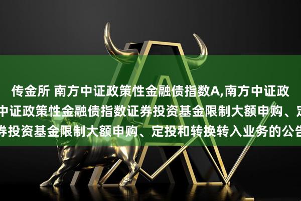 传金所 南方中证政策性金融债指数A,南方中证政策性金融债指数C: 南方中证政策性金融债指数证券投资基金限制大额申购、定投和转换转入业务的公告