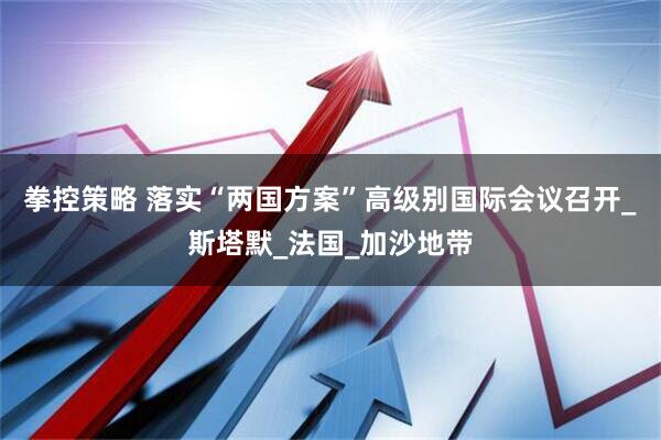 拳控策略 落实“两国方案”高级别国际会议召开_斯塔默_法国_加沙地带