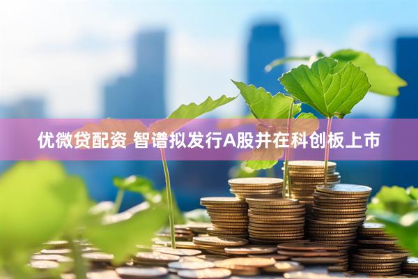 优微贷配资 智谱拟发行A股并在科创板上市